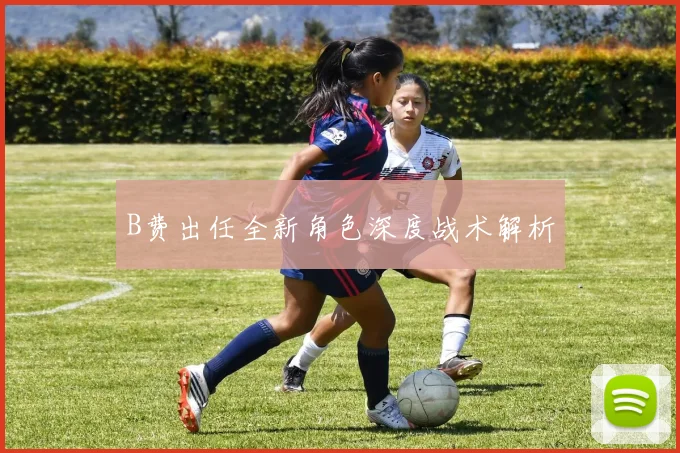 B费出任全新角色深度战术解析